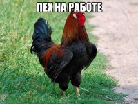 пех на работе 