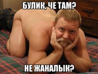 булик, че там? не жаналык?