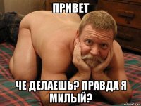 привет че делаешь? правда я милый?