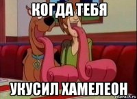 когда тебя укусил хамелеон