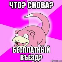 что? снова? бесплатный въезд?