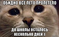 обидно всё лето пролетело до школы осталось несколько дней :(