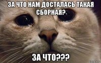 за что нам досталась такая сборная? за что???