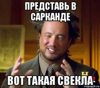 представь в сарканде вот такая свекла