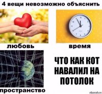 что как кот навалил на потолок