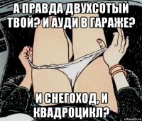 а правда двухсотый твой? и ауди в гараже? и снегоход, и квадроцикл?