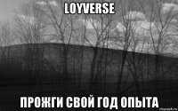 loyverse прожги свой год опыта