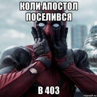 коли апостол поселився в 403