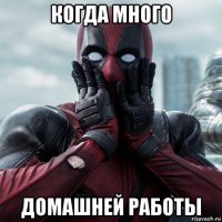 когда много домашней работы