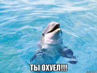  ты охуел!!!