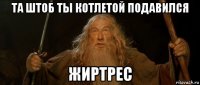 та штоб ты котлетой подавился жиртрес