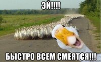 эй!!!! быстро всем смеятся!!!