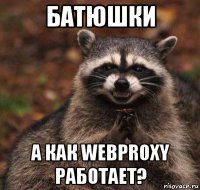 батюшки а как webproxy работает?