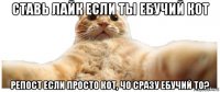 ставь лайк если ты ебучий кот репост если просто кот, чо сразу ебучий то?