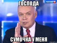 господа сумочка у меня