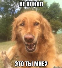 не понял это ты мне?