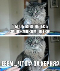 Вы объявляетесь заложмиком лотка! Ееем... ЧТО ? ЗА ХЕРНЯ?