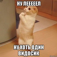 ну лееееел ну хоть один видосик