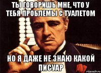 ты говоришь мне, что у тебя проблемы с туалетом но я даже не знаю какой писуар