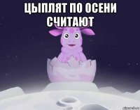 цыплят по осени считают 