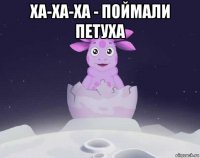 ха-ха-ха - поймали петуха 