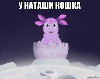 у наташи кошка 