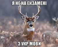 я не на екзамені з укр.мови