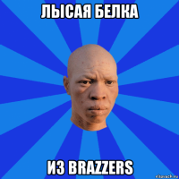 лысая белка из brazzers