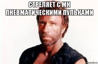 стреляет с мк пневматическими пульками 