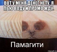 вот у меня денег нету, я пью воду и промо жду. 