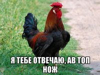  я тебе отвечаю, ав топ нож