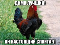 дима лучший! он настоящий спартач!