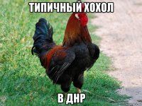 типичный хохол в днр