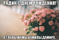 радик с днем рождения! от:папы,мамы,камилы,дамира.