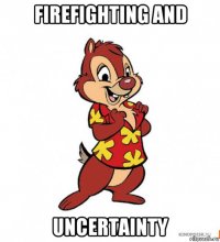 firefighting and uncertainty
