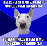 тебе хочется темп 5, но ты не можешь себя заставить? тогда я приду к тебе и мы побежим с темпом 3,0