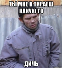 ты мне в тираеш какую то дичь