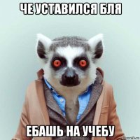 че уставился бля ебашь на учебу