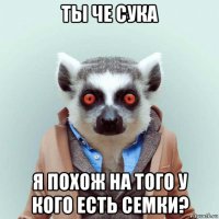 ты че сука я похож на того у кого есть семки?