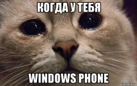 когда у тебя windows phone