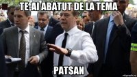 te-ai abatut de la tema patsan