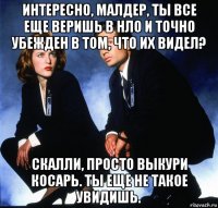 интересно, малдер, ты все еще веришь в нло и точно убежден в том, что их видел? скалли, просто выкури косарь. ты еще не такое увидишь.