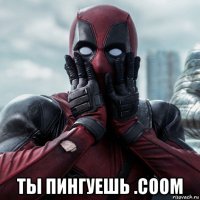  ты пингуешь .coom