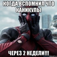 когда вспомнил что каникулы через 2 недели!!!