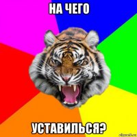 на чего уставилься?