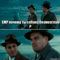 EMP почему ты собака безмозглая ? 