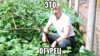 это огурец