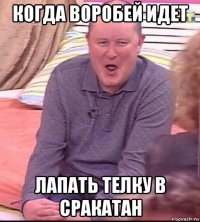 когда воробей идет лапать телку в сракатан