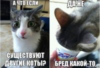 Существуют другие коты?