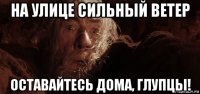 на улице сильный ветер оставайтесь дома, глупцы!